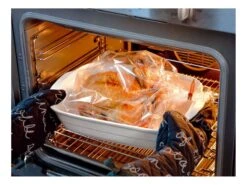 Sac à Rôtir - 43 X 35 Cm (x 100) - Terinex